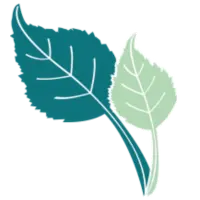 listmonk