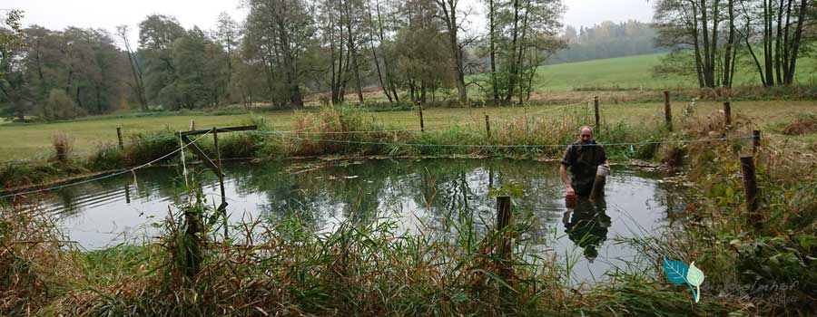 Traditionelles Abfischen am Birkholmhof