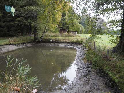 Abfischen am Birkholmhof