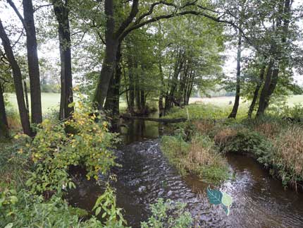 Abfischen am Birkholmhof