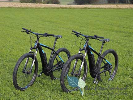 Cube Access Hybrid Race 500 - Hochwertige E-Bikes