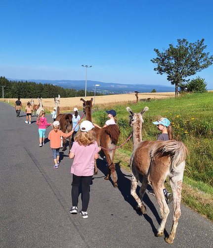 Erlebniswanderungen mit Lamas, Urlaub in Bayern