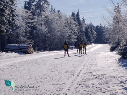 Langlaufen in Bayern-Silberhütte