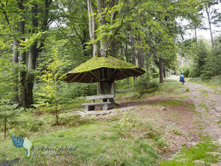 Den Steinwald entdecken - Natur-Urlaub in Bayern