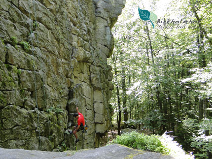 Steinwald zum Klettern - Natur-Urlaub in Bayern