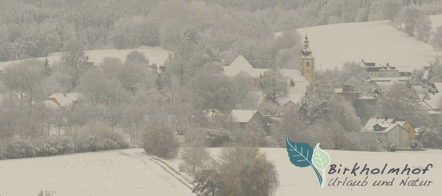 Winterliche Landschaft im Naturpark Oberpfälzer Wald