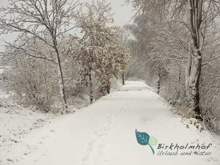 Winterzauber im Oberpfälzer Wald