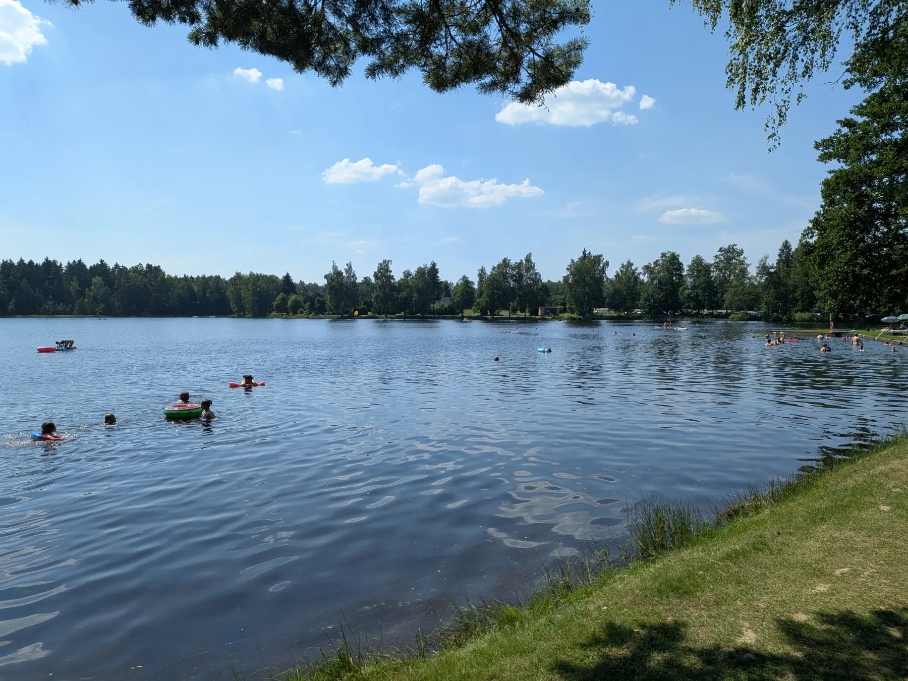 Badespaß am Großen Weiher in Plößberg mit Waldkulisse