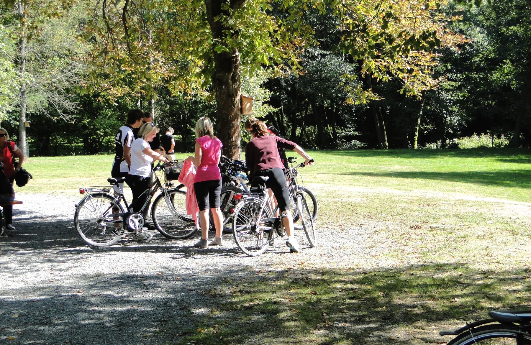 Radfahren und Aktivurlaub in der Natur am Birkholmhof