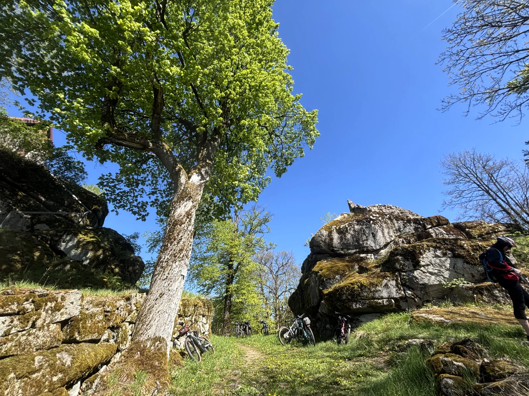Panoramablick auf die Burgruine Haselstein während des Radlersonntags