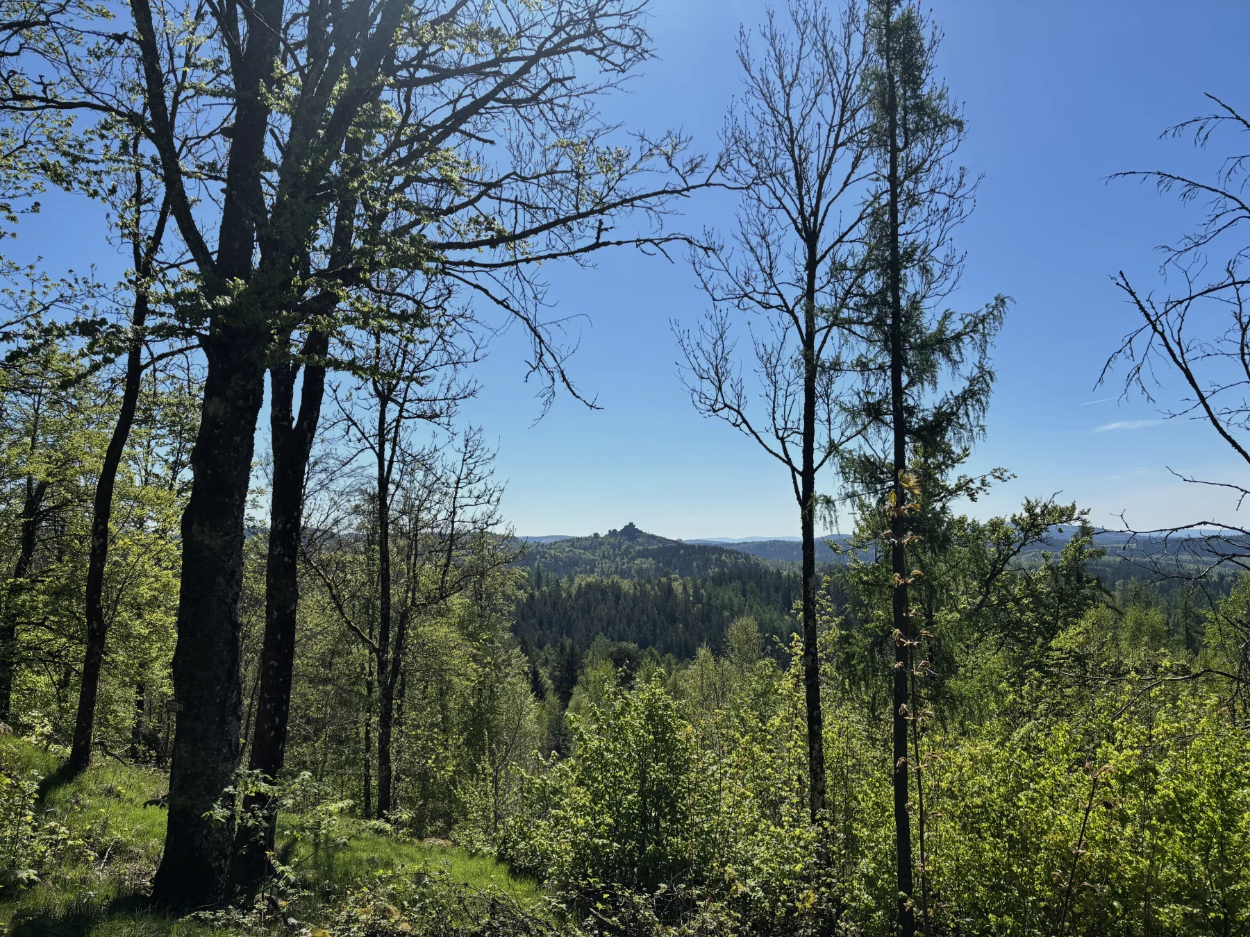 Teilnehmer des Radlersonntags an der Burgruine Haselstein