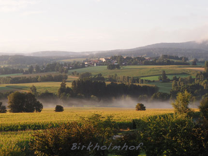 Goldener Herbst im Naturpark Oberpfälzer Wald