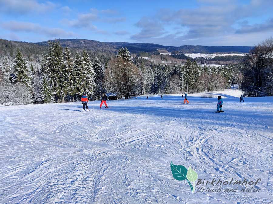 Skifahren in Bayern-Oberpfälzer Wald