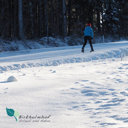 Skilanglauf im Winter - Aktiver Urlaub in Bayern