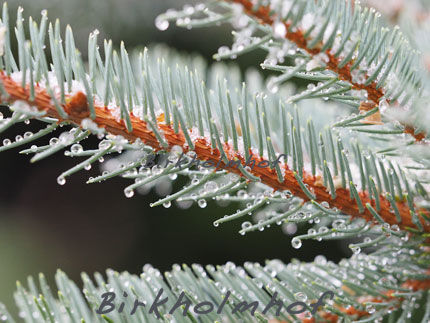 Winterliche Impressionen vom Birkholmhof