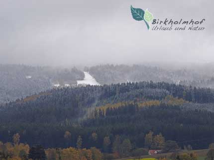 Wintereinbruch im nördlichen Oberpfälzer Wald