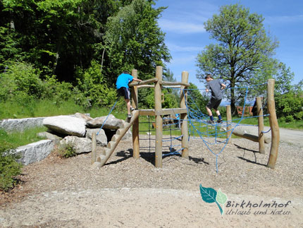 Steinwald für Kinder - Natur-Urlaub in Bayern