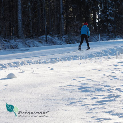 Skilanglauf - Winterurlaub in Bayern