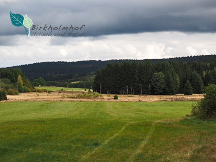 Ausblick aufs Baernauer Hochmoor - Urlaub in Bayern