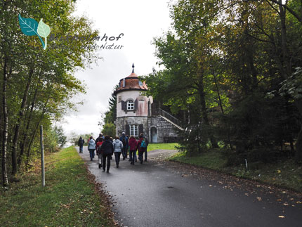 Wanderung zum Baernauer Hochmoor - Urlaub in Bayern