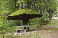 Urlaub in Bayern - Naturschutzgebiet der Steinwald