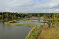 Urlaub in Bayern - Tirschenreuther-Teichpfanne