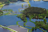 Erlebnis Fisch Tirschenreuth, Urlaub in Bayern