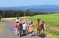 Erlebniswanderungen mit Lamas, Urlaub in Bayern